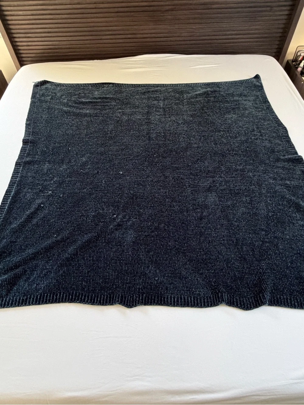 West Elm Chenille Throw